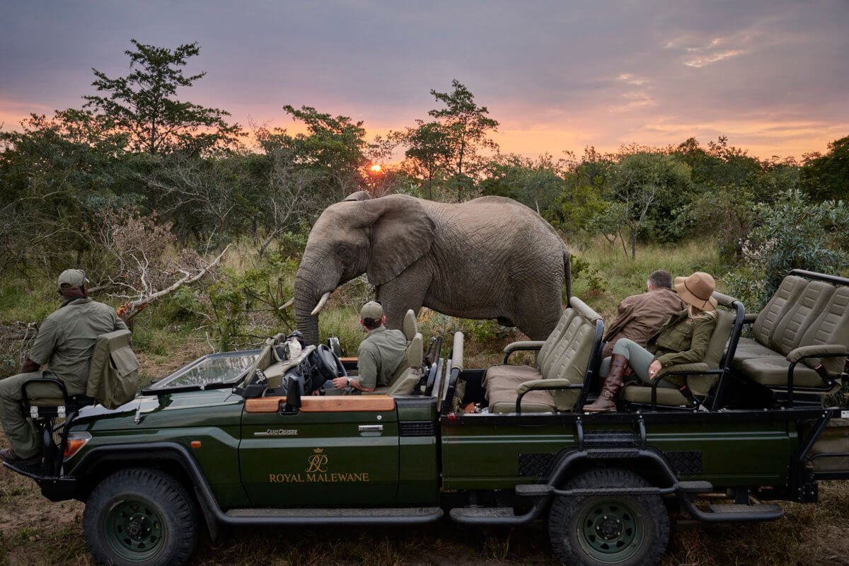 luxury+safari+luxury+travel+advisor+south+africa+safari+best+safari+lodge