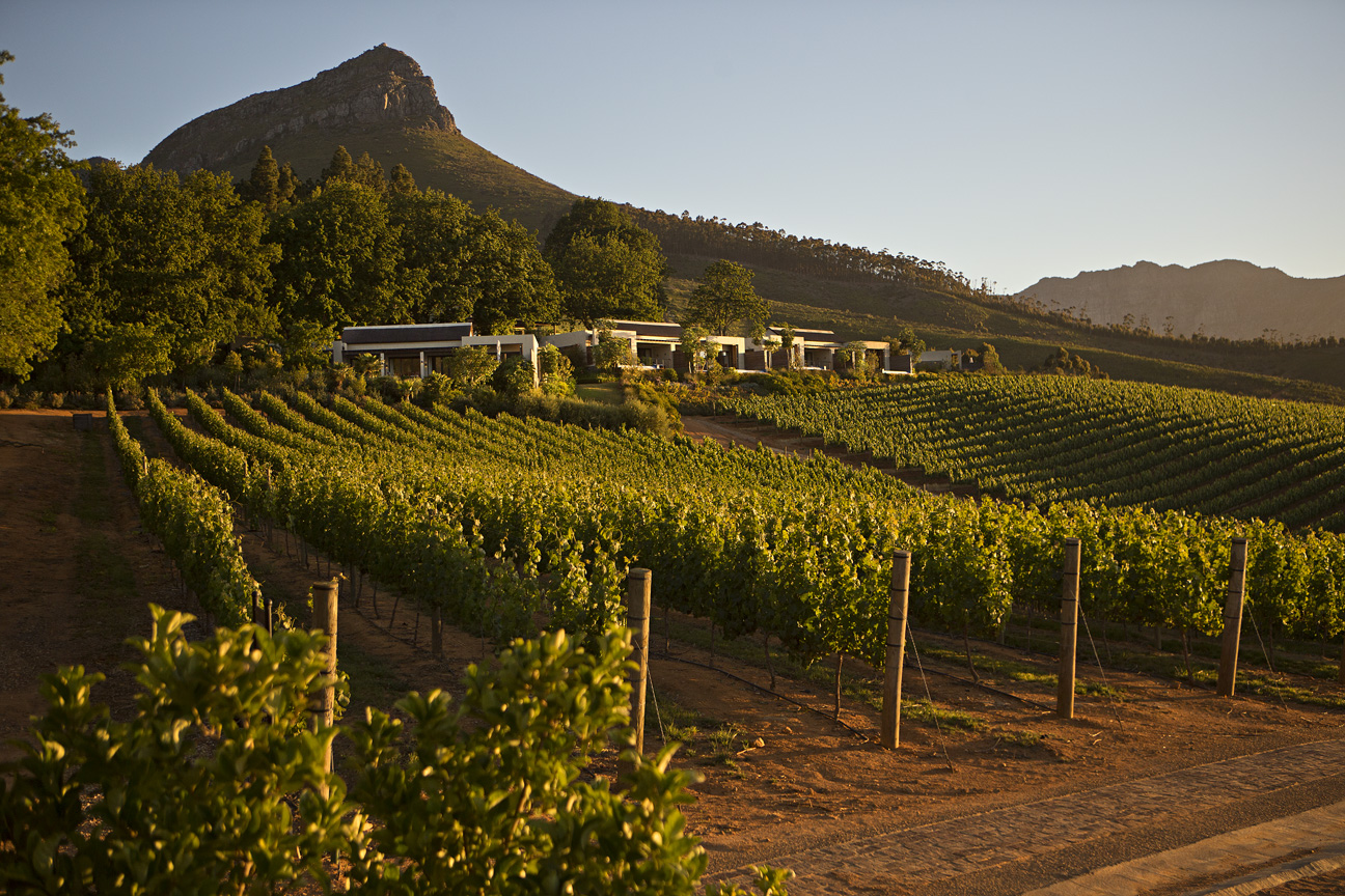 Delaire Graff Estate Vineyards_