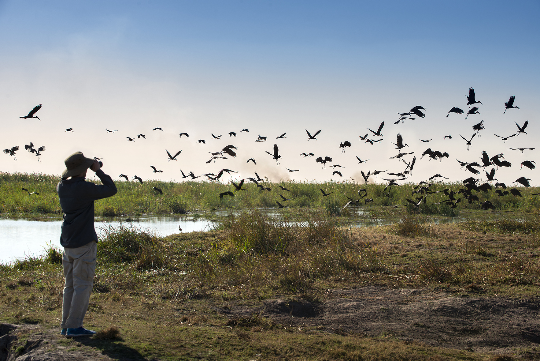 Linyanti Expeditions Botswana Dook 2019 (36)