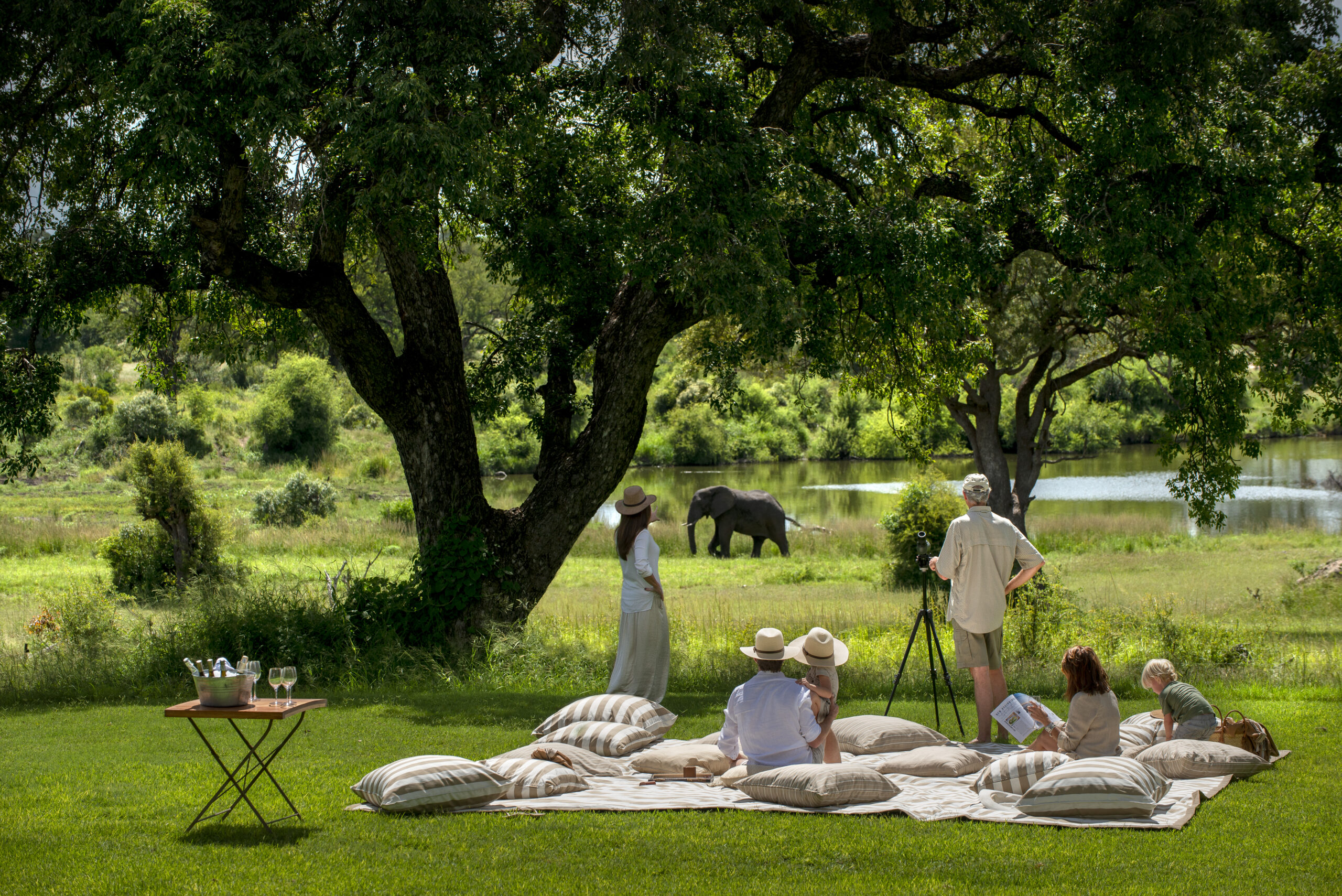 Singita Castleton_Lunch Picnic on Lawn