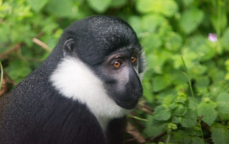 49197483983_3470e6f5b0_k