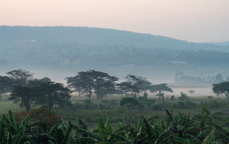 49197517703_b1b7ef0f5a_k