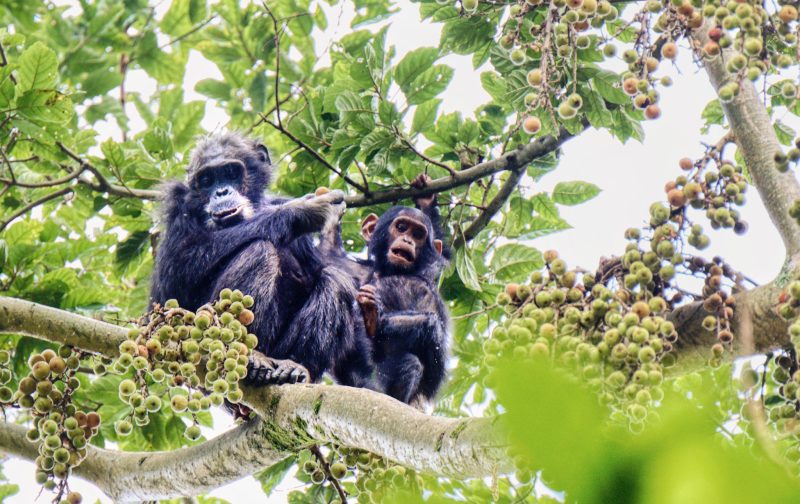 49197523078_34c5a9dce7_k