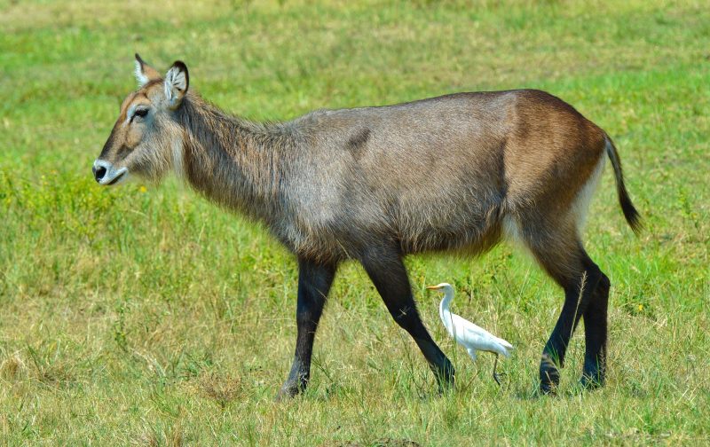 49197608176_34a2ef0e2d_k