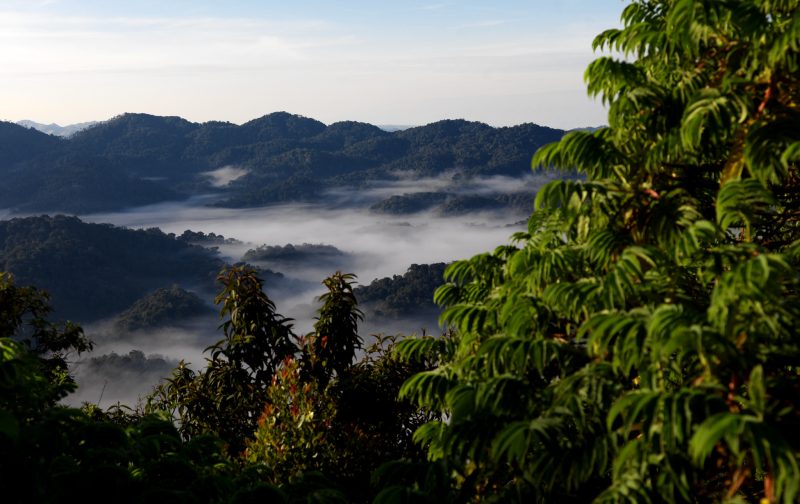 49197961713_55726b14bc_k