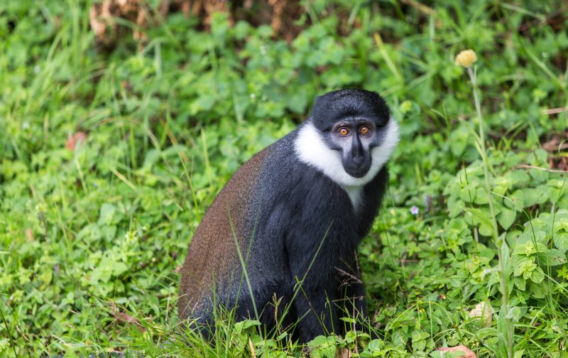 49198225732_18ad9dfe0d_k