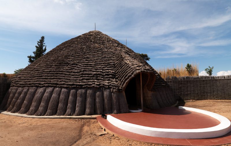 49198522471_43d6778d63_k