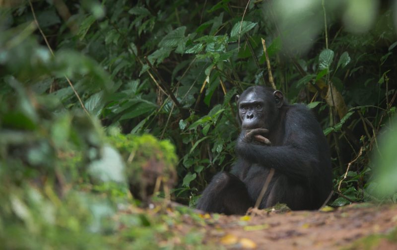 49198774537_58c5fdb535_k