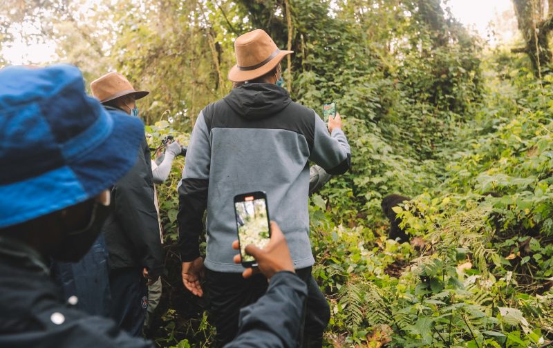 52049735150_1060398b4e_k