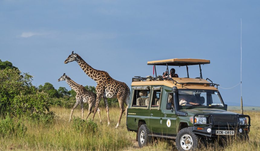 Masai Mara Game drive ©Soroi Collection