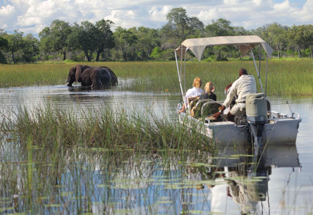 Afternoon-Boat-Ride-Okavango-Delta-Botswana