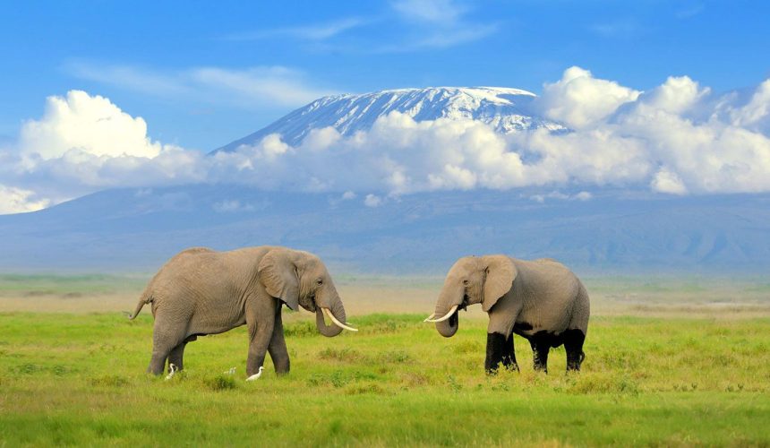 Amboseli-National-Park-1-1