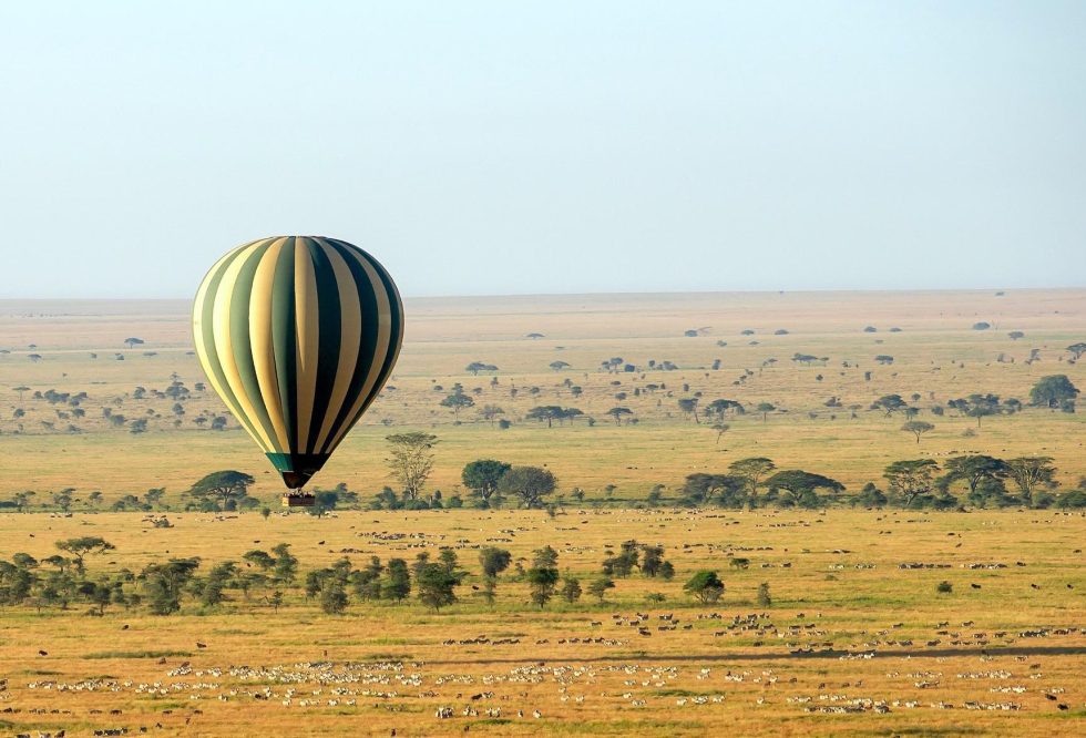 Balloon floating over Migration