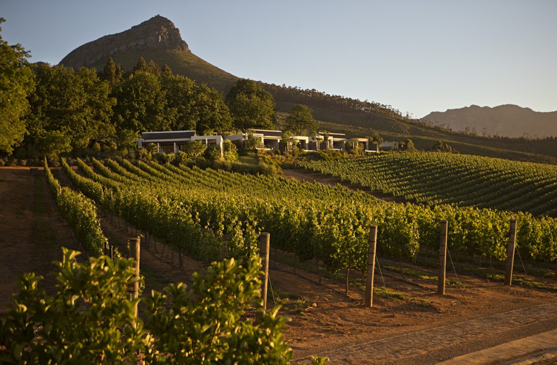 Delaire Graff Estate Vineyards_