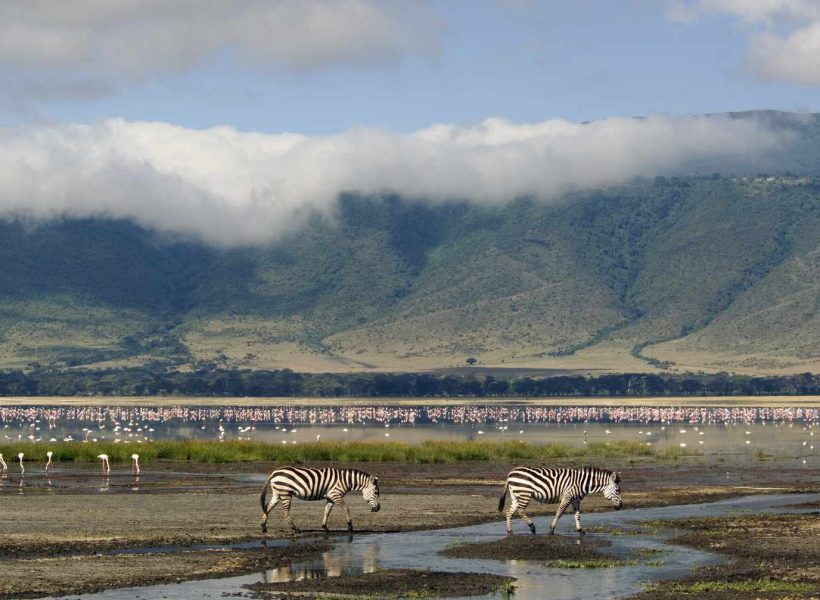 Ngorongoro-Crater-floor