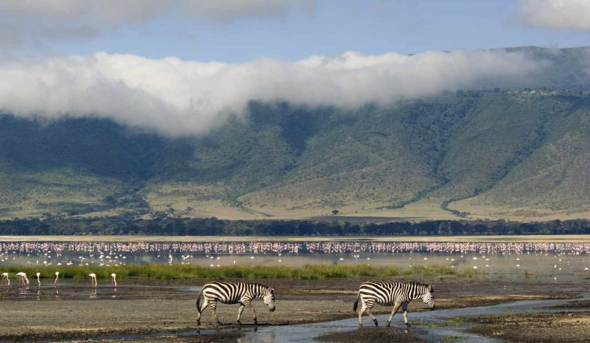 Ngorongoro-Crater-floor