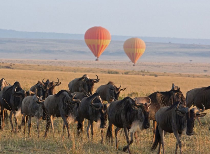 Serengeti-Balloon-Safari