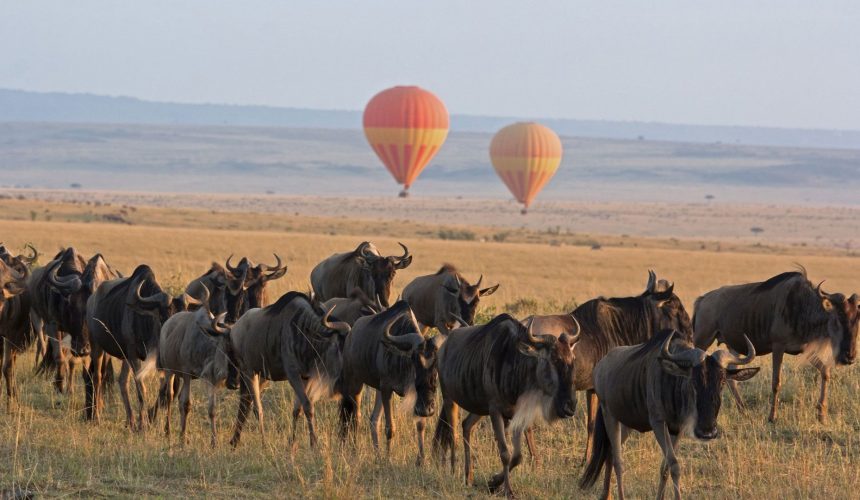 Serengeti-Balloon-Safari