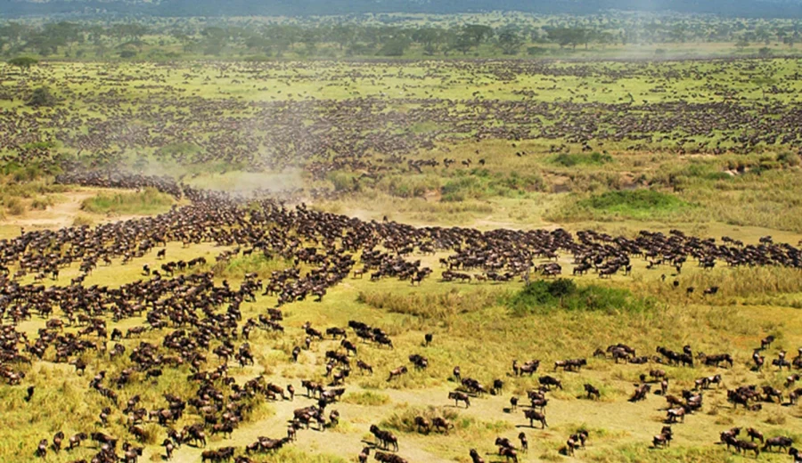 Serengeti National Park