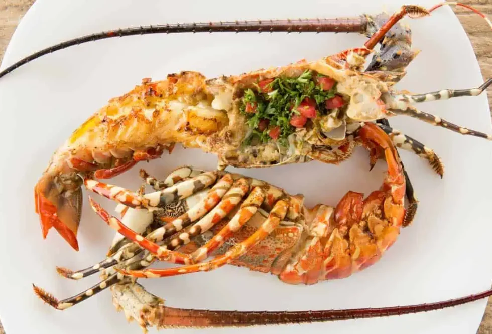 The-rock-restaurant-crayfish