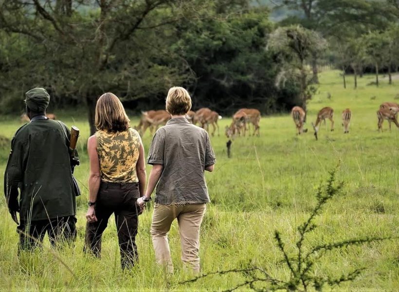 Uganda Safari