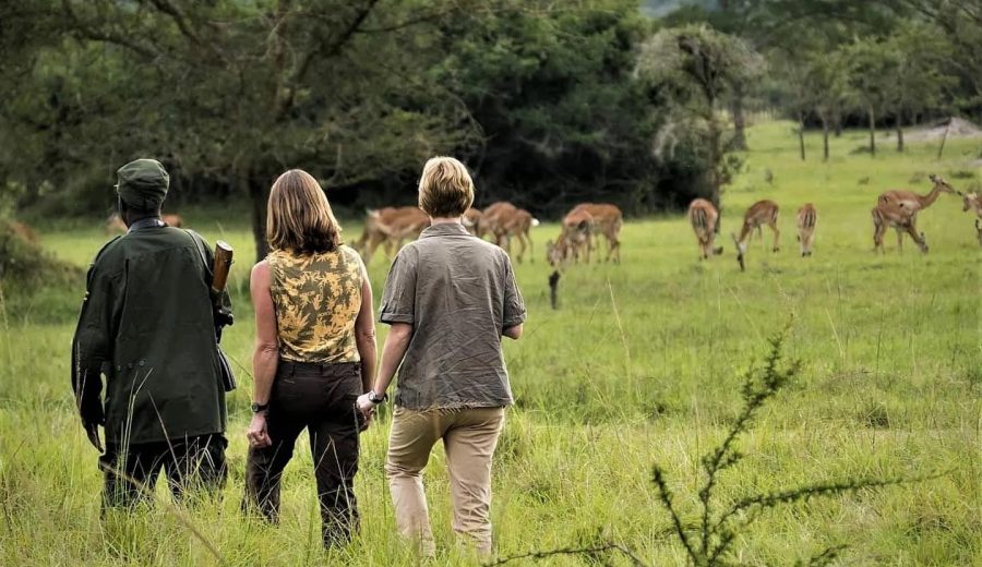 Uganda Safari