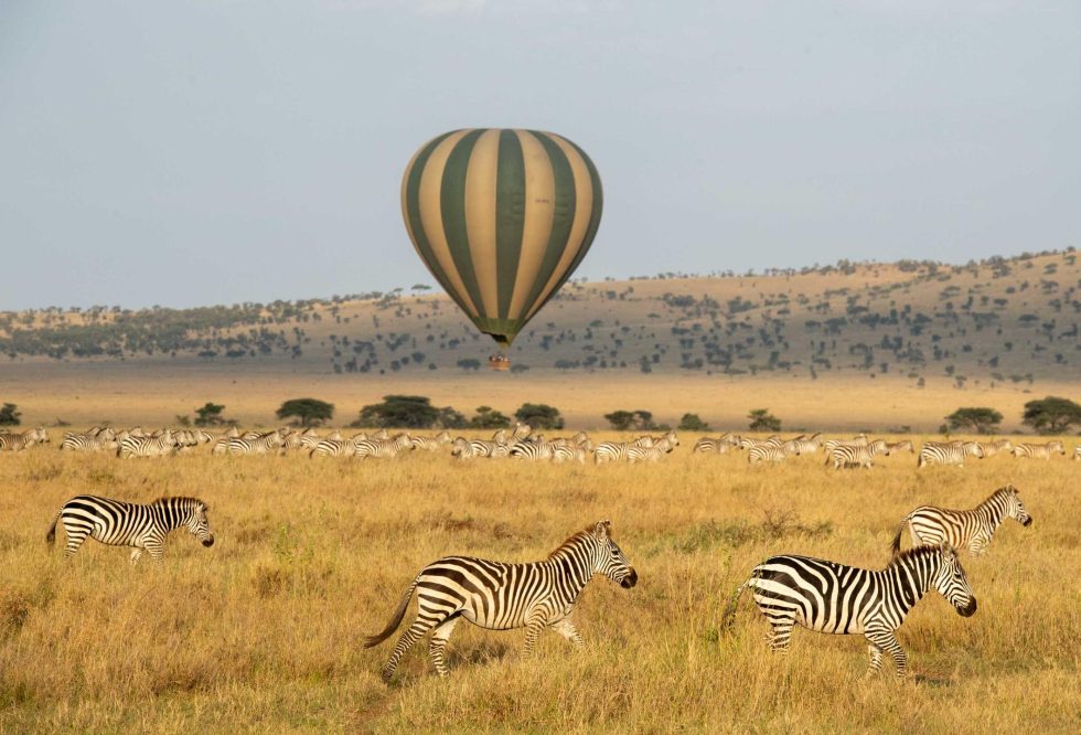 a bucket list experience