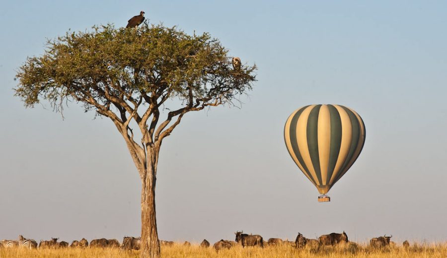 balloon2