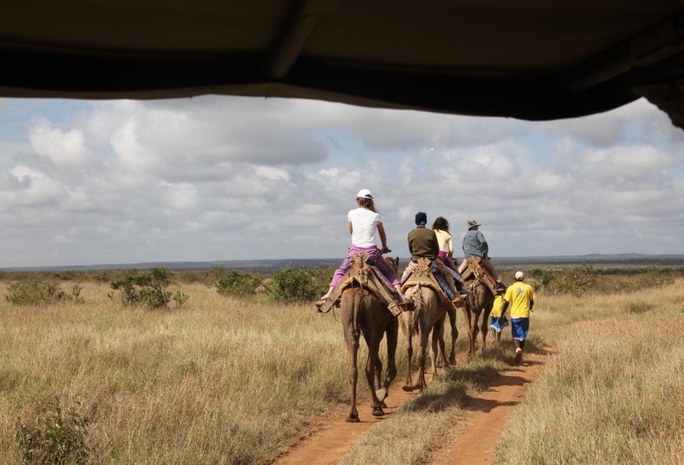 camel_walk