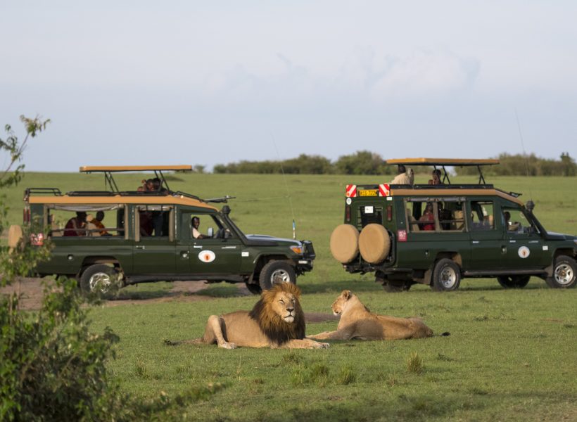 Game drive: © http://soroi.com