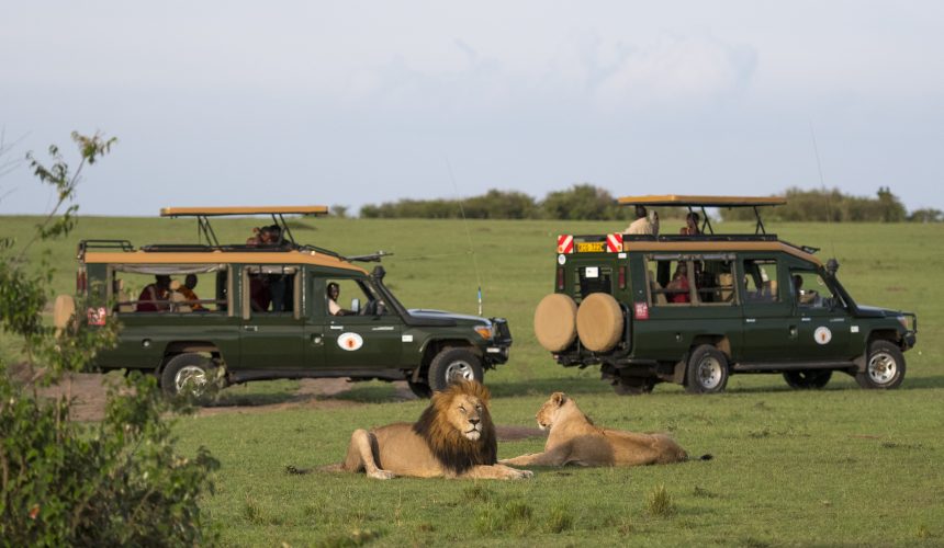 Game drive: © http://soroi.com