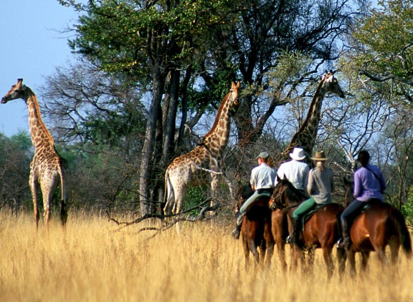 horseback-okavango