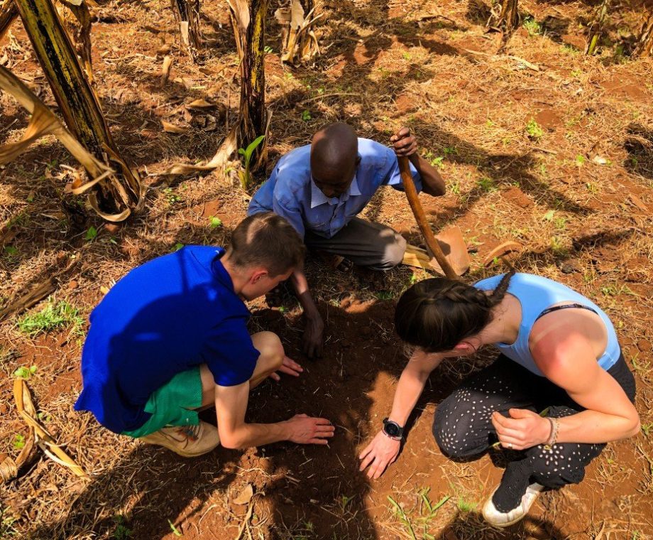 how-coffee-is-made-planting-arabica-seed