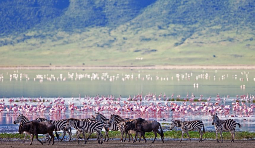 Ngorongoro Crater