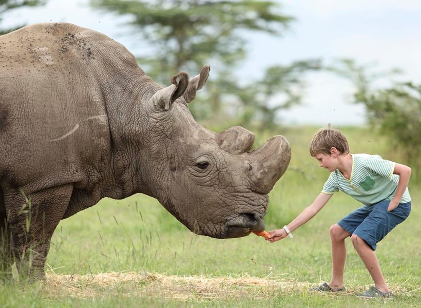 ol_pejeta_bush_camp2