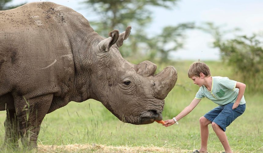 ol_pejeta_bush_camp2