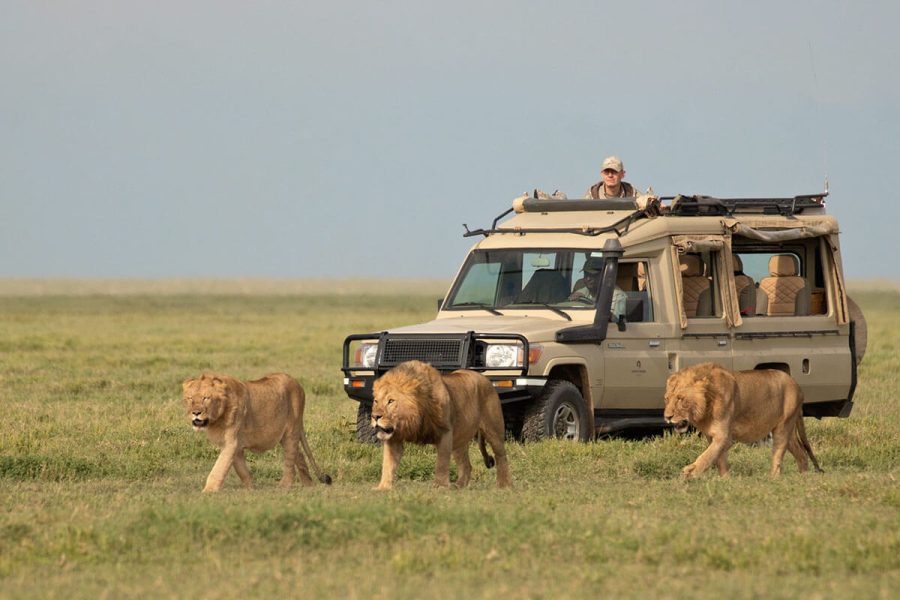 serengeti-national-park-2